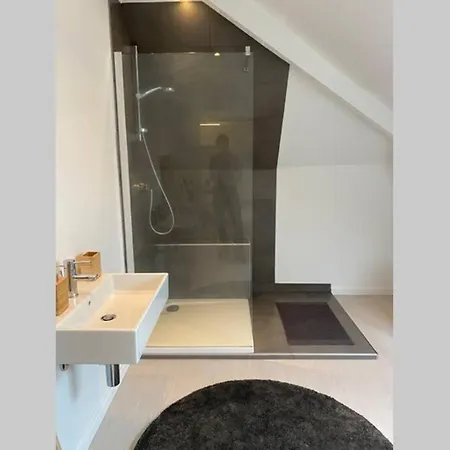 Moderne Loft In Historisch Pand Apartment Ghent
