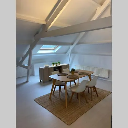 Apartment Moderne Loft In Historisch Pand Ghent