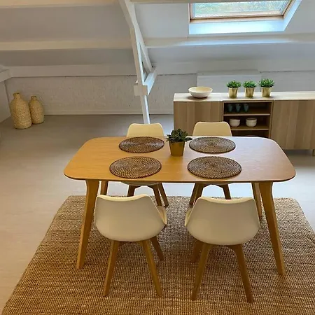 Moderne Loft In Historisch Pand *